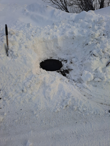 IMG 20240205 100058 01.jpg