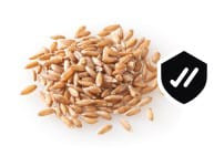 WhatsApp Image 2024 02 06 at 12.18.20.jpg