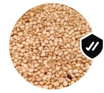 WhatsApp Image 2024 02 06 at 12.18.19 (2).jpg