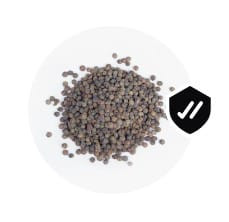 WhatsApp Image 2024 02 06 at 12.18.27 (3).jpg