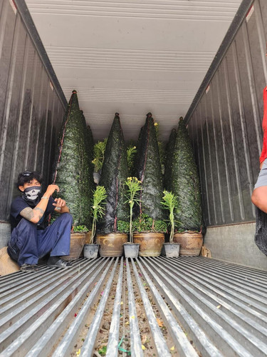 WhatsApp Image 2024 02 05 at 09.19.50 68e17c62.jpg