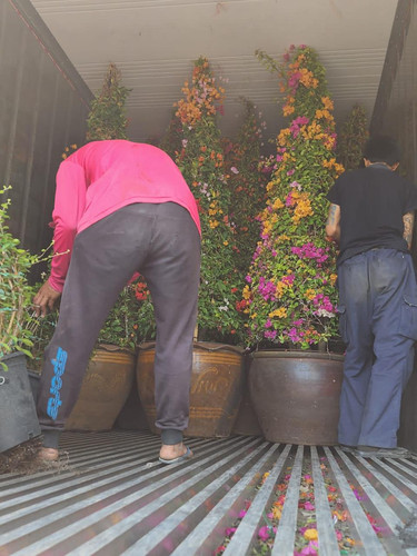 WhatsApp Image 2024 02 05 at 09.19.52 328a76ad.jpg