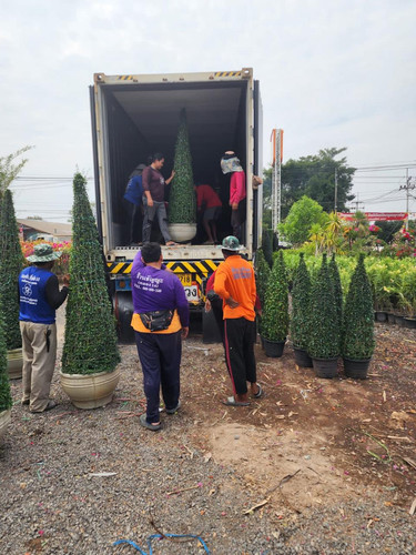 WhatsApp Image 2024 02 05 at 09.19.52 fed254c8.jpg