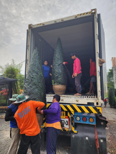 WhatsApp Image 2024 02 05 at 09.19.51 653b8c1b.jpg