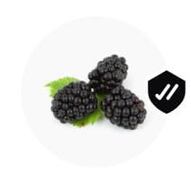 WhatsApp Image 2024 02 06 at 12.19.57 (11).jpg