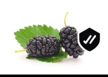 WhatsApp Image 2024 02 06 at 12.18.31 (6).jpg