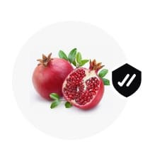 WhatsApp Image 2024 02 06 at 12.18.29.jpg