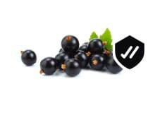 WhatsApp Image 2024 02 06 at 12.18.32 (4).jpg