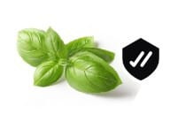 WhatsApp Image 2024 02 06 at 12.19.58 (2).jpg