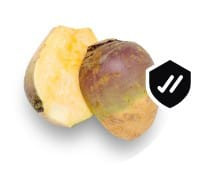 WhatsApp Image 2024 02 06 at 12.19.58 (7).jpg