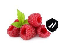 WhatsApp Image 2024 02 06 at 12.19.57 (10).jpg