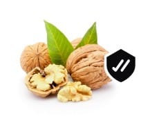 WhatsApp Image 2024 02 06 at 11.32.26 (1).jpg