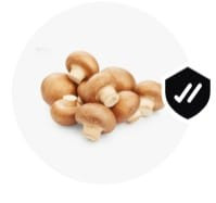 Mushrooms.jpg