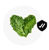 WhatsApp Image 2024 02 06 at 12.19.59 (5).jpg