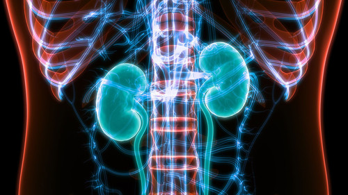 Urology Problems (1).jpg