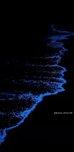 aa7fcea500e7b900f47772f4b71d4ced.webp