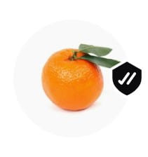 WhatsApp Image 2024 02 06 at 11.32.34.jpg