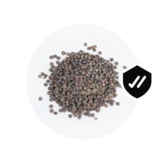 WhatsApp Image 2024 02 06 at 11.32.30 (1).jpg