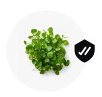 WhatsApp Image 2024 02 06 at 11.32.35 (2).jpg