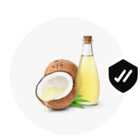 WhatsApp Image 2024 02 06 at 12.18.12 (2).jpg