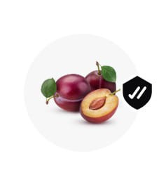 WhatsApp Image 2024 02 06 at 11.32.33 (7).jpg