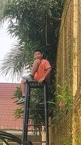 image.jpg