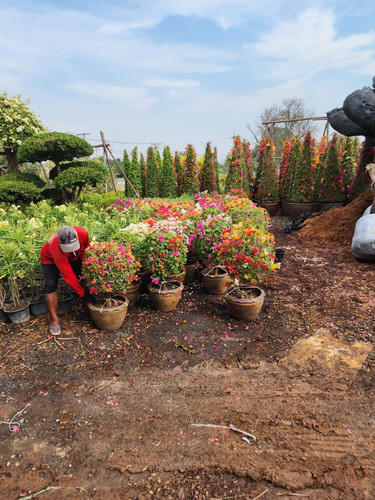 WhatsApp Image 2024 02 05 at 09.19.52 9677f864.jpg