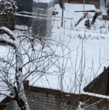 开饭了.gif