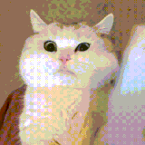 m9oWzxKRlrSIgJw.gif