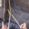 我看看谁会联想到小昭的内裤….gif