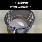 urmKjPaAsQxLNc3.gif