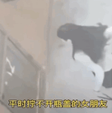 4Rk1AjfWJGEUdmF.gif