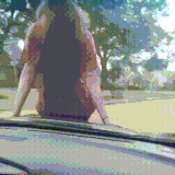 得到了一个二次元老婆.gif