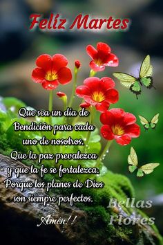 87cdfa379f8240a2f992b0c424ffdf43.jpg