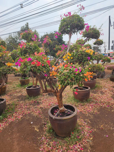 WhatsApp Image 2024 02 05 at 09.19.46 f8720ceb.jpg