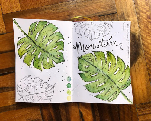 monstera.jpg