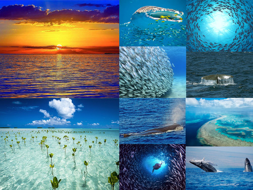 'Glorified is The Mighty Creator '.jpg