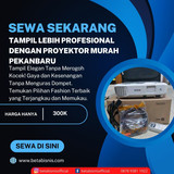 Proyektor55