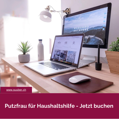 Putzfrau für Haushaltshilfe - Jetzt buchen.png