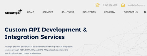Custom API Development and Integration Services Allsoftgo.jpg