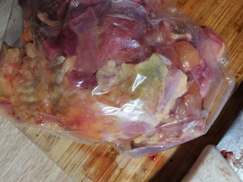 IMG 20240211 205840.jpg