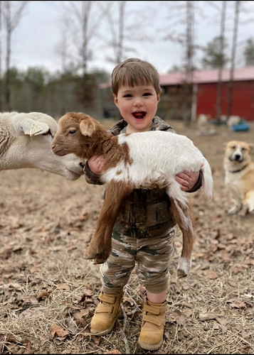 Screenshot 20240211 210357 Samsung Internet 1707685622584.jpg