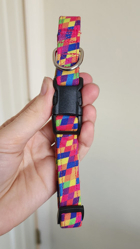 1000019152.jpg