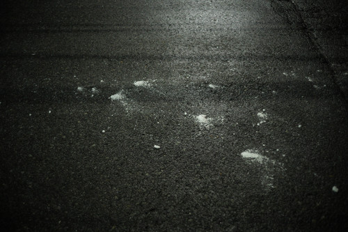 A7C02947.jpg
