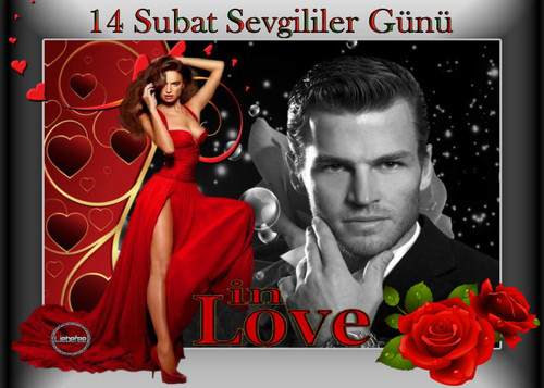 Sevgililer günü 8 dsg liebefee.jpg
