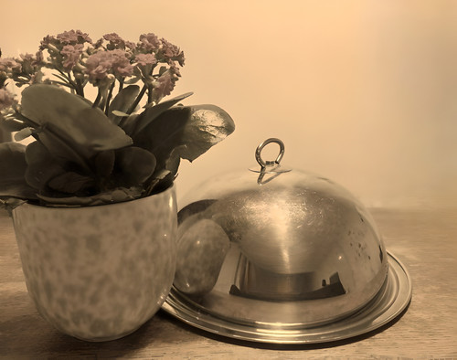 fine art photography.jpg