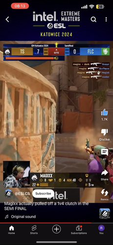 IMG 2915.png