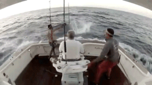 11f5f2dd0.gif