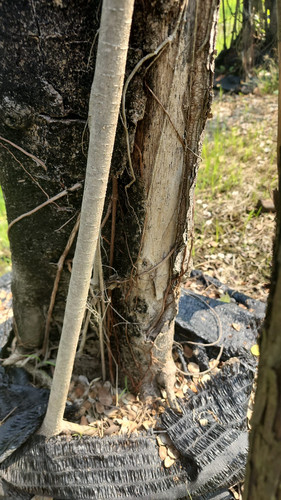 WhatsApp Image 2024 02 09 at 06.51.18 21957c49.jpg