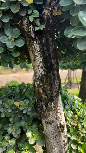 WhatsApp Image 2024 02 09 at 06.51.19 5a9a63f4.jpg